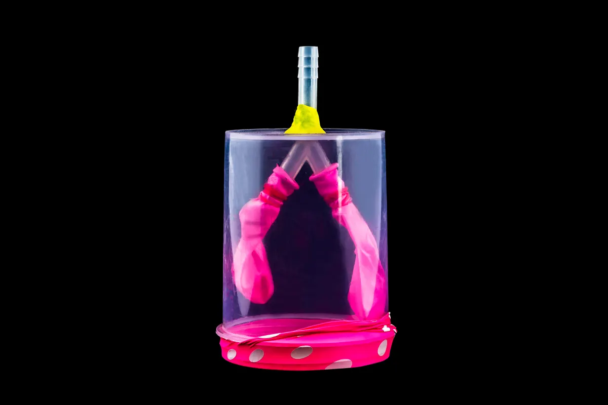 Lung Model